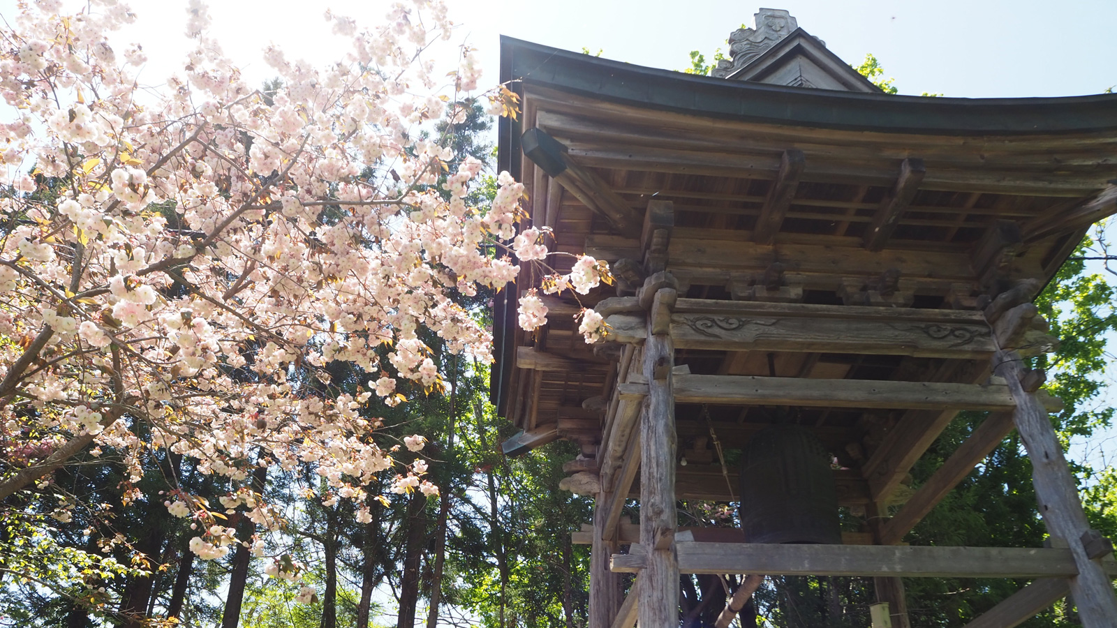 桜鐘楼堂